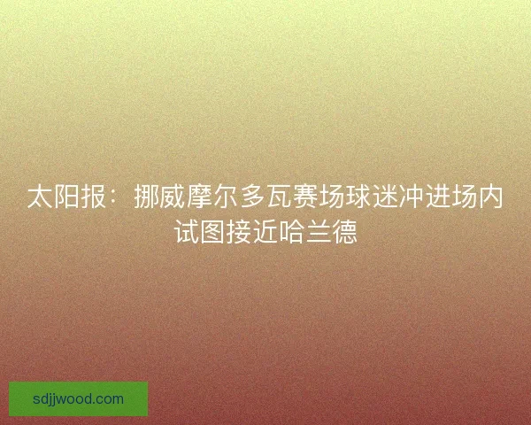 太阳报：挪威摩尔多瓦赛场球迷冲进场内试图接近哈兰德